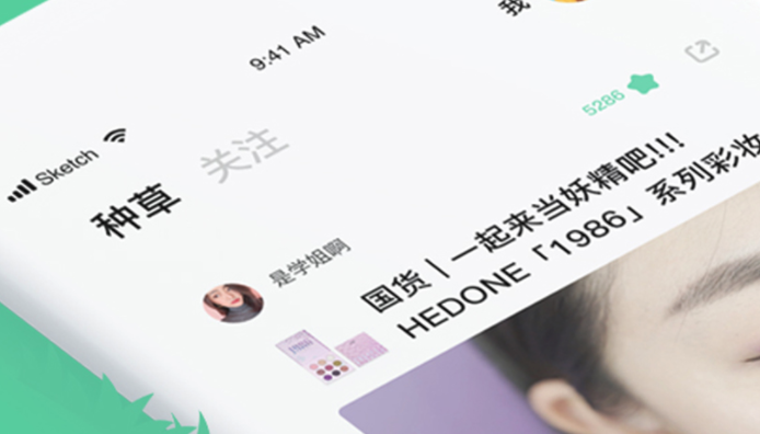 有草坪