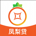 凤梨贷最新版下载_凤梨