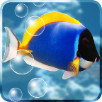Aquarium Free水族馆动