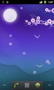 Blooming Night Pro花夜动态壁纸免费版app下载_Blooming Night Pro花夜动态壁纸下载安装