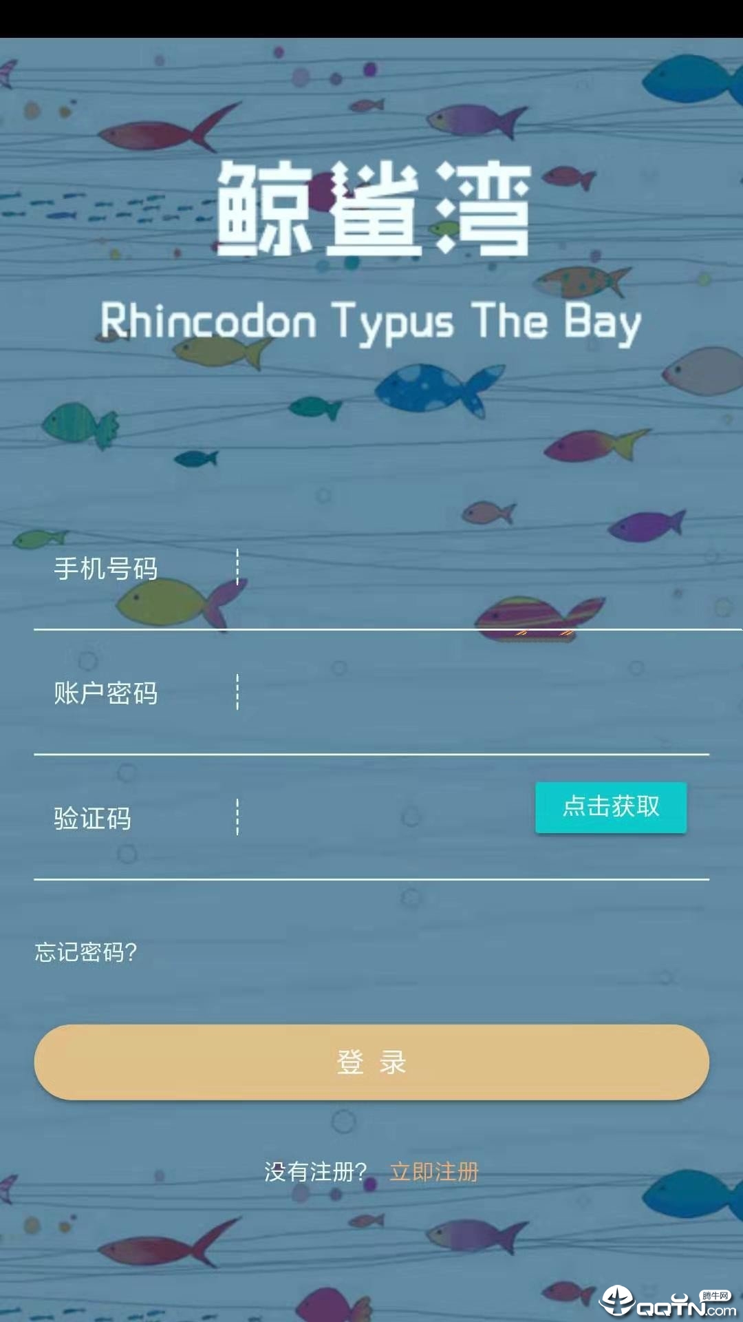 鲸鲨湾手机端下载_鲸鲨湾下载手机版
