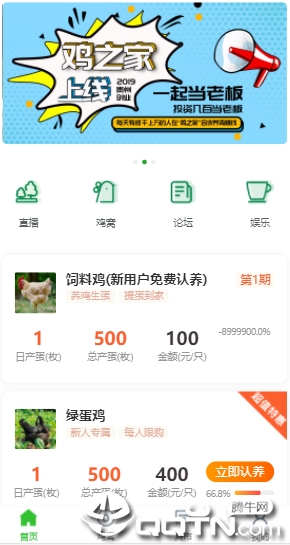 鸡之家官方手机端下载_鸡之家手机客户端