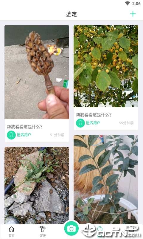 掌上植物网免费版软件下载安装_掌上植物网安卓版下载安装