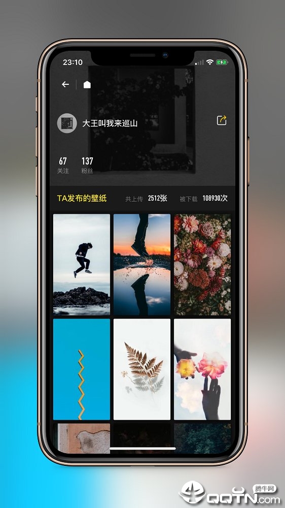 纸塘壁纸APP下载_纸塘壁纸安卓版下载安装