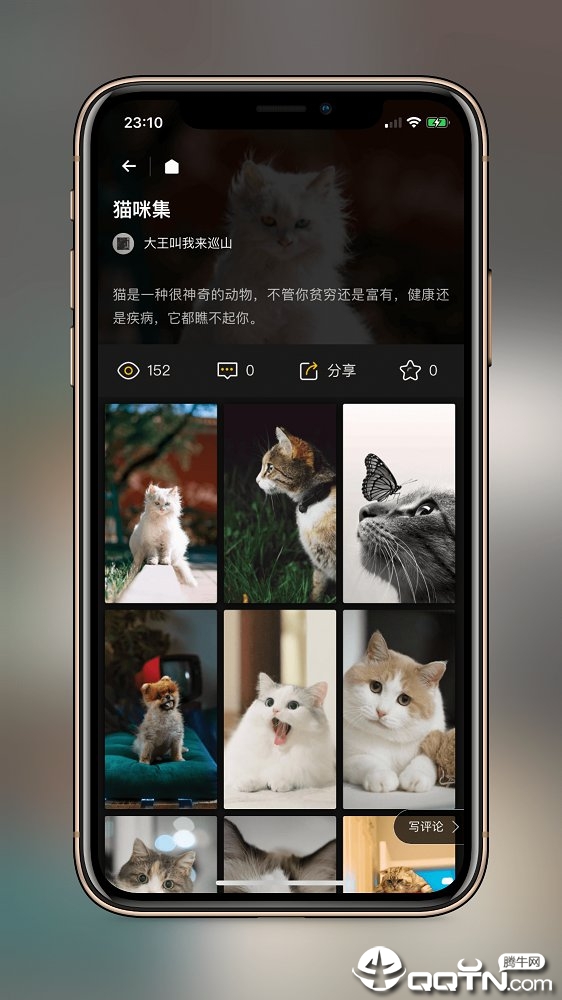 纸塘壁纸APP下载_纸塘壁纸安卓版下载安装