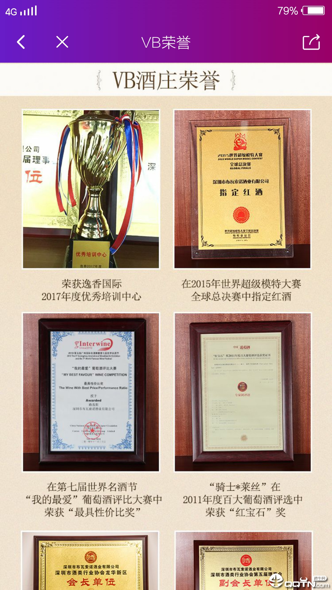 VB酒庄单机版下载_VB酒庄官方正版