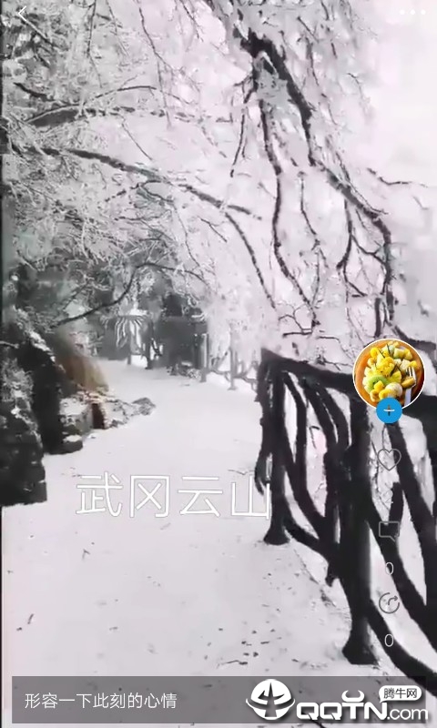 茧影粉丝官方下载_茧影粉丝安卓版下载