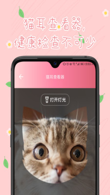 旻匠猫咪翻译器正式版下载_旻匠猫咪翻译器2025最新手机版下载