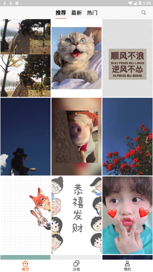 啵乐壁纸中文版下载_啵乐壁纸最新官网下载