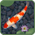 aniPet Koi Live Wallpa