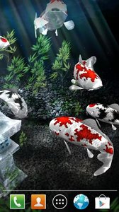 My 3D Fish II(我的3D小鱼动态主题)2025最新手机版下载_My 3D Fish II(我的3D小鱼动态主题)2025最新版