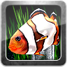 My 3D Fish II(我的3D小