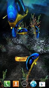 My 3D Fish II(我的3D小鱼动态主题)2025最新手机版下载_My 3D Fish II(我的3D小鱼动态主题)2025最新版