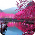 梦幻风景动态壁纸免费版