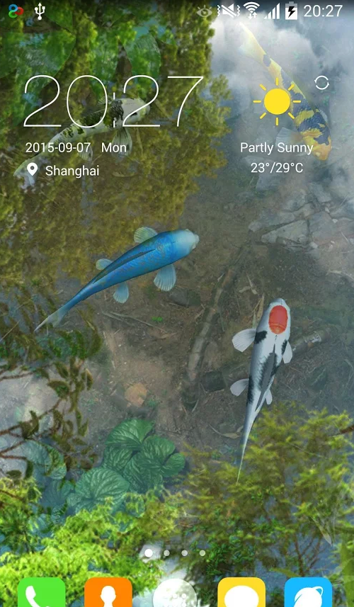 锦鲤池塘动态壁纸