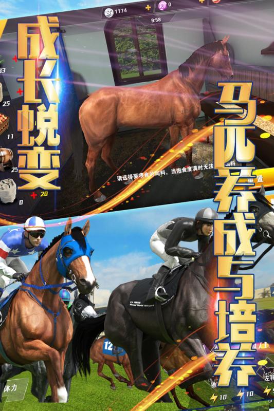 相马大师腾讯版安卓App_相马大师腾讯版正版手机版
