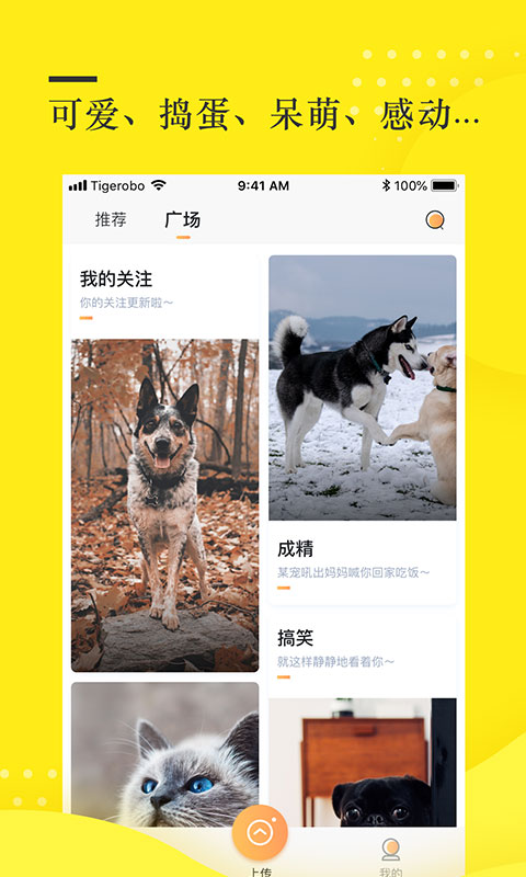 蛋挞短视频最新版本下载_蛋挞短视频app最新官方版下载