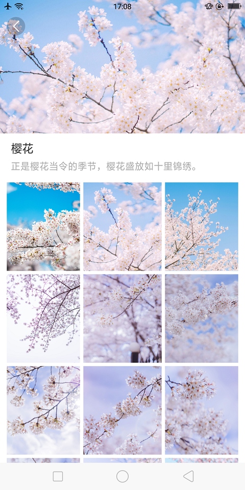 大脚壁纸下载安装_大脚壁纸2025最新下载