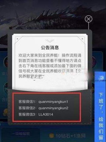 全民养鲲官方正版免费_全民养鲲APP下载