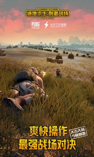 PUBG刺激战场钻石助手纯净版下载_PUBG刺激战场钻石助手官方正版免费