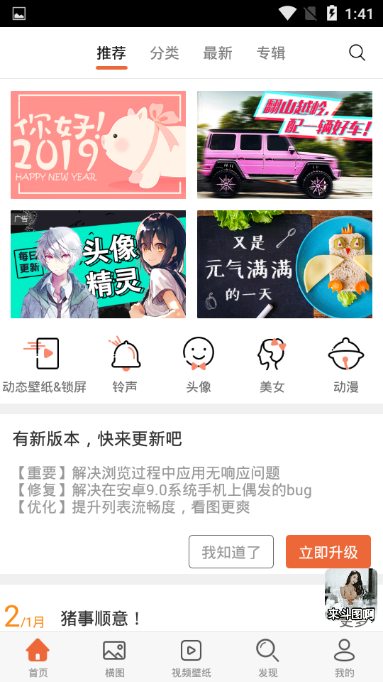 2019猪年壁纸官方手机端下载_2019猪年壁纸安卓版下载