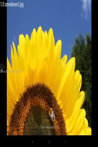 Photo Frame Web照片显示2025最新版下载_Photo Frame Web照片显示手机版下载