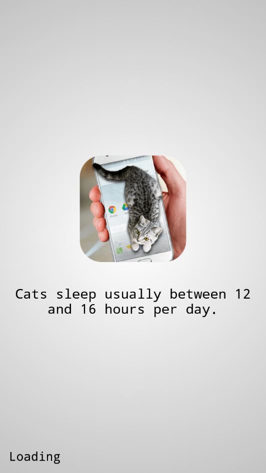 Cat Walks in Phone Cute joke猫咪桌宠软件下载_Cat Walks in Phone Cute joke猫咪桌宠最新版下载