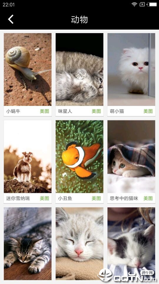 壁纸赚免费下载_壁纸赚手机端下载