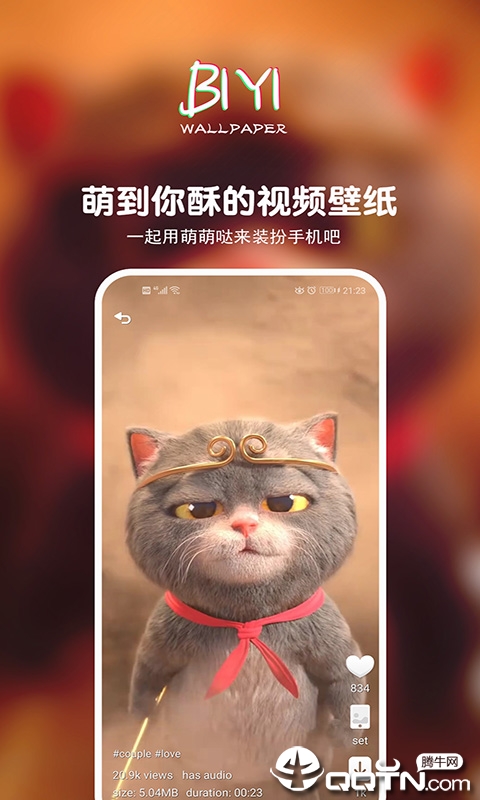 壁音视频壁纸App下载安装手机版_壁音视频壁纸全新2025版