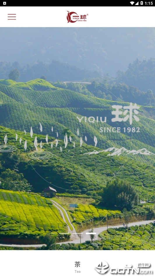 一球茶叶APP下载安装_一球茶叶正版手机版