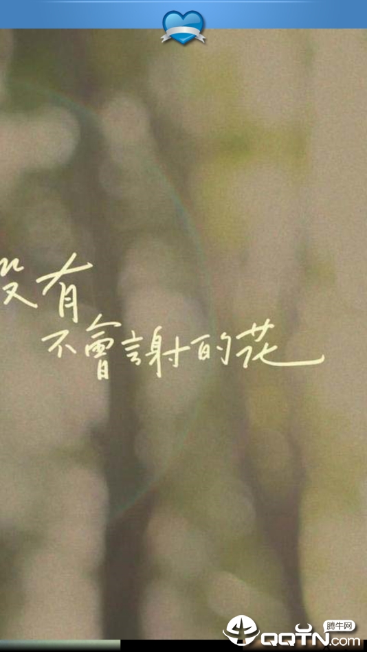 文字控高清壁纸2025新版_文字控高清壁纸APP安装下载