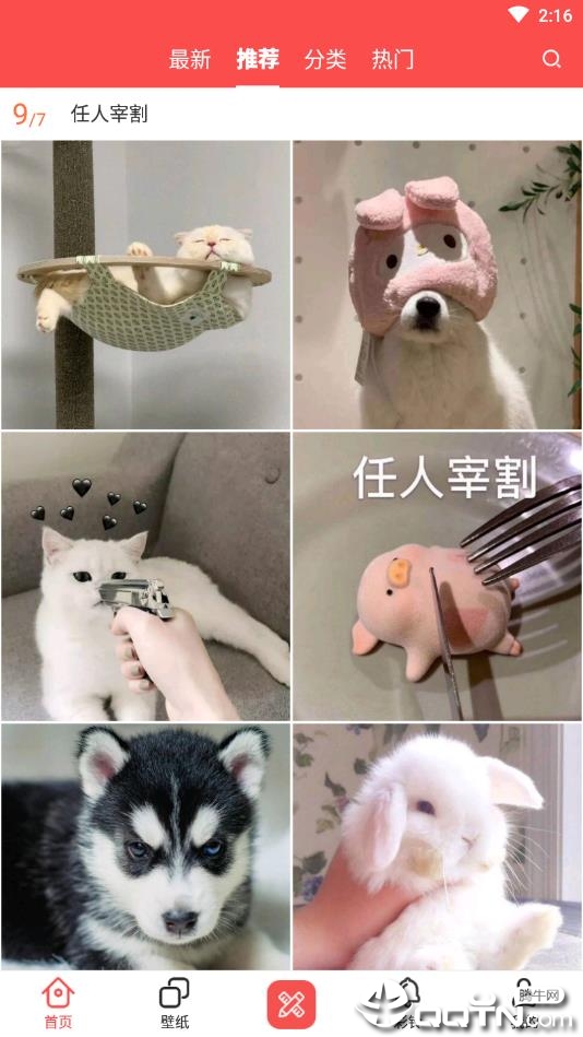 爱主题壁纸正版免费下载_爱主题壁纸官方正版免费