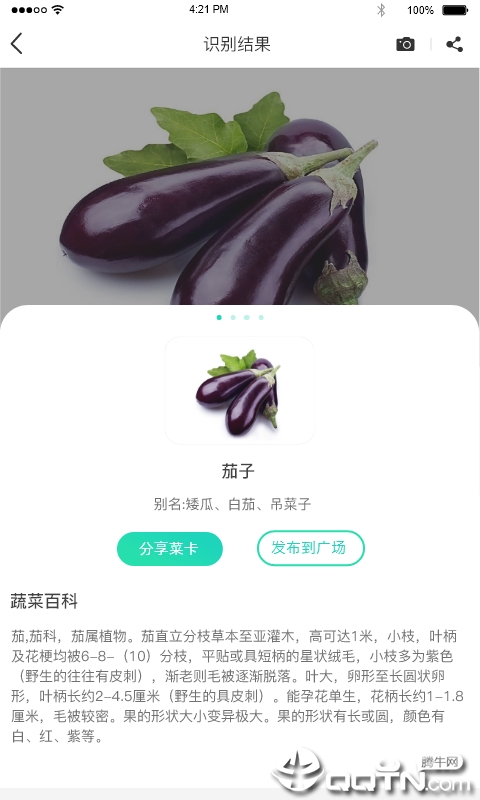 识菜君app最新官方版_识菜君中文版下载
