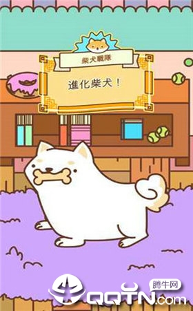 Shiba Force(柴犬战队中文版)免费版下载_Shiba Force(柴犬战队中文版)全新2025版