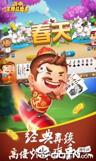云中王牌斗地主九游版2025最新版免费下载_云中王牌斗地主九游版新版手游