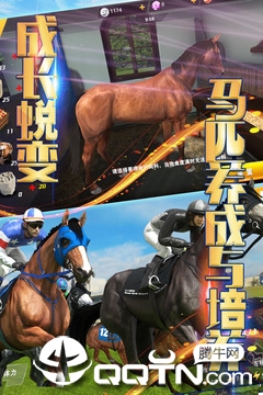 相马大师纯净版下载_相马大师全新2025版