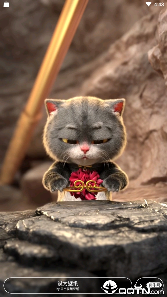 动漫猫戴金箍视频壁纸app官方正版_动漫猫戴金箍视频壁纸正式版下载