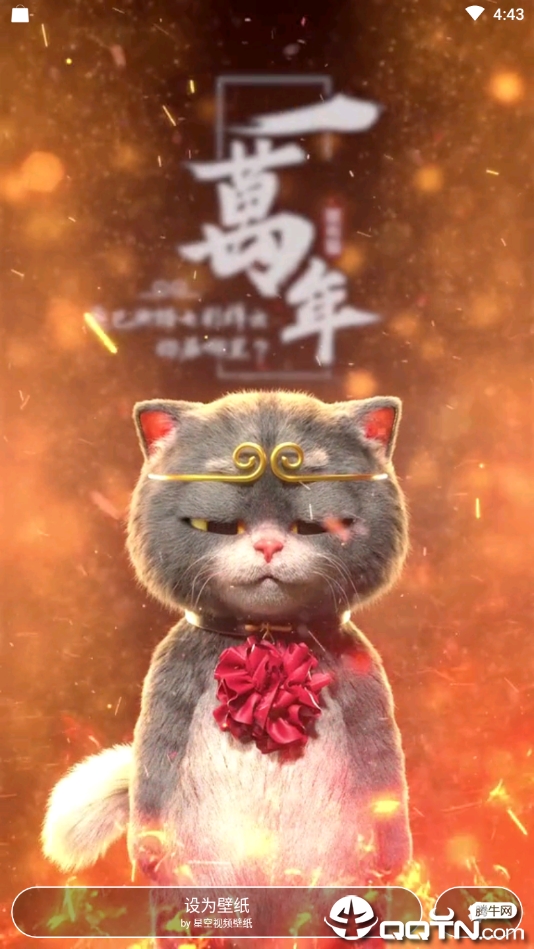 动漫猫戴金箍视频壁纸app官方正版_动漫猫戴金箍视频壁纸正式版下载