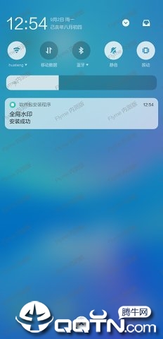 全局水印
