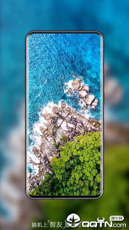 wallpaper  expert