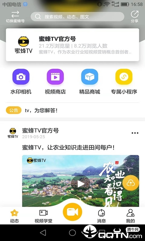 蜜蜂TV官方正版免费_蜜蜂TV安卓版