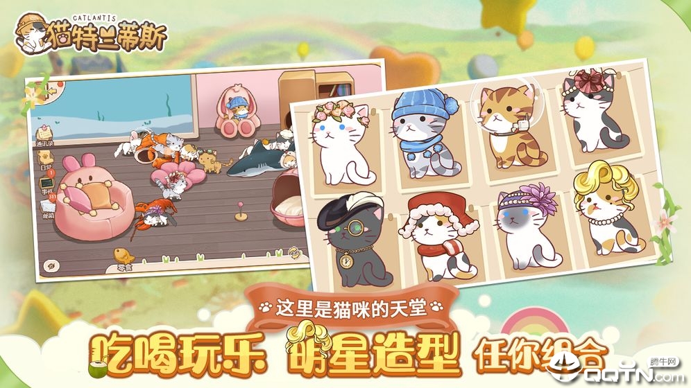 猫特兰蒂斯测试版正版手机版_猫特兰蒂斯测试版下载最新版本2025