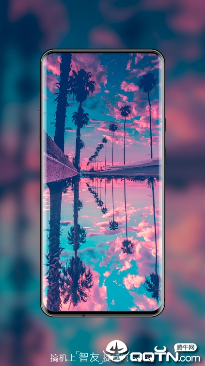 wallpaper expert官方版_wallpaper expert免费下载