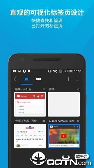 FlashFox Pro闪狐浏览器汉化版安卓2025最新版本_FlashFox Pro闪狐浏览器汉化版手机客户端