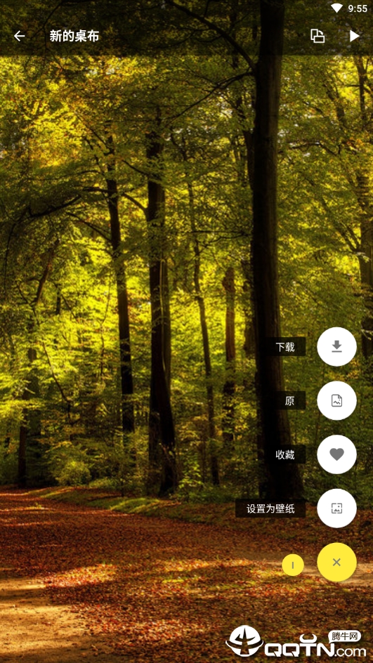 爱彩壁纸下载安装_爱彩壁纸2025最新下载