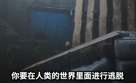 keep  out手游