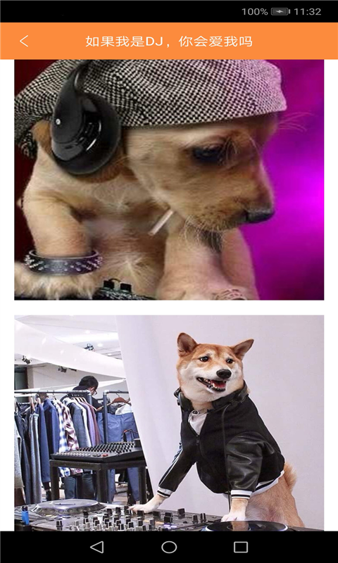 bodog博狗APP下载安装_bodog博狗最新版本下载