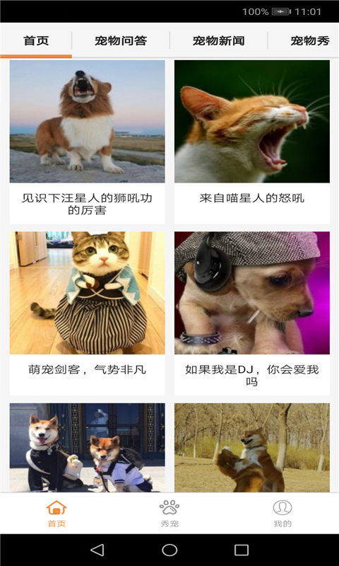 bodog博狗APP下载安装_bodog博狗最新版本下载