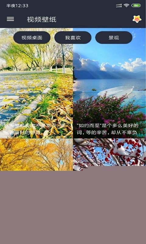 安果视频壁纸安卓2025最新版本_安果视频壁纸官方手机端下载