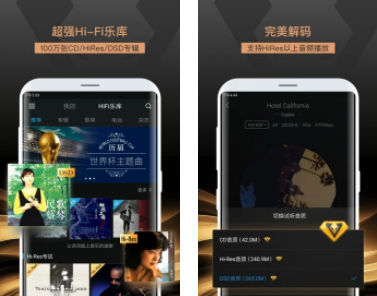 VIPER  HiFi  app